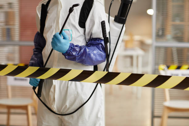 Professional Sewage Cleanup technician working in Haverhill, MA